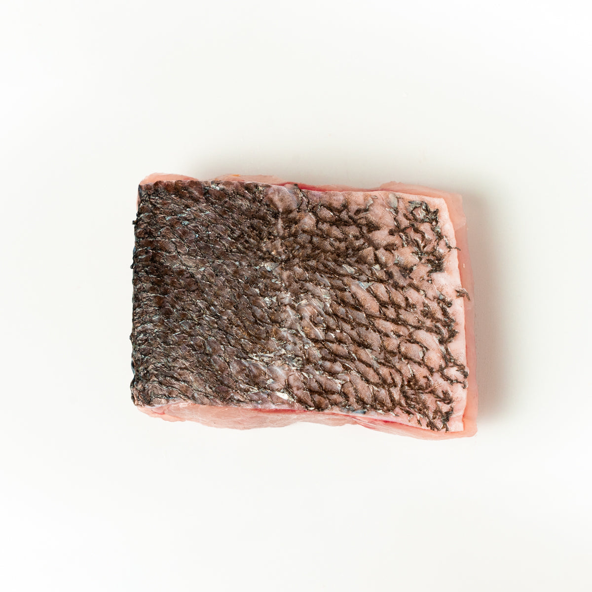 Porción de Totoaba